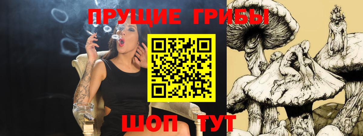 Камышлов  Галлюциногенные грибы прущие грибы  Галлюциногенные грибы мицелий  Вход с VPN 