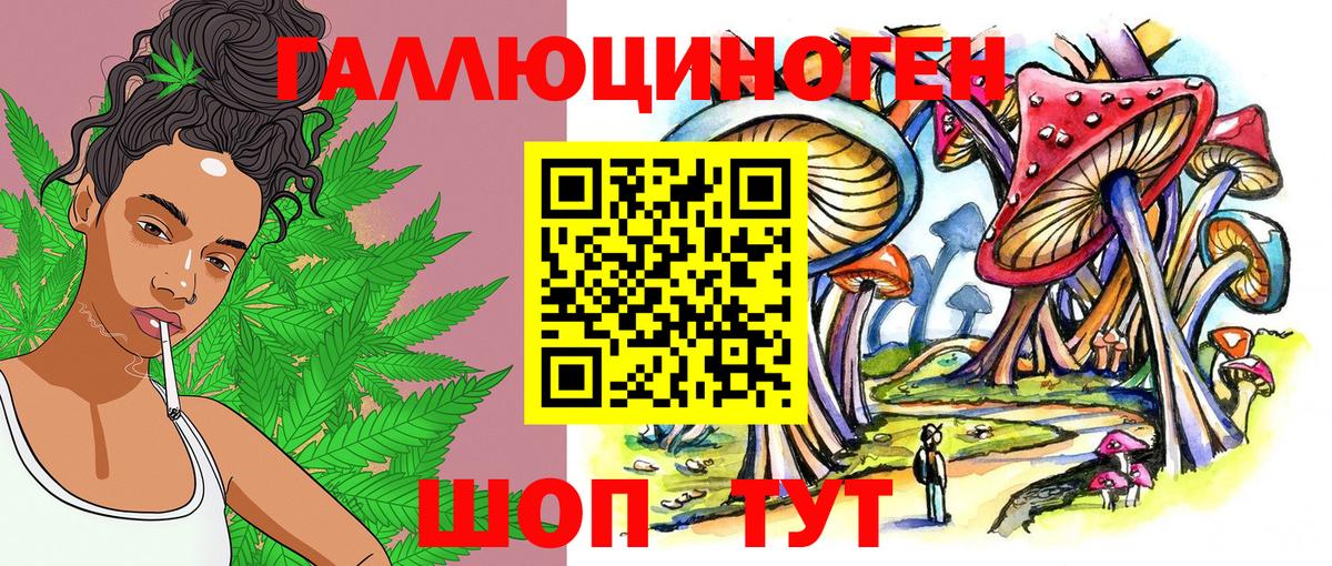 Псилоцибиновые грибы Psilocybe Камышлов